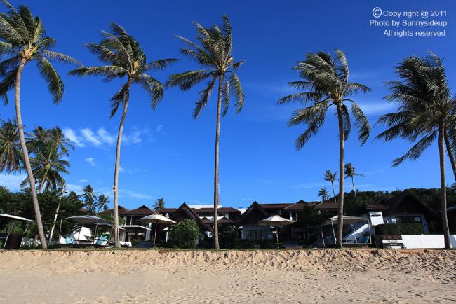 samui_008_hf.jpg