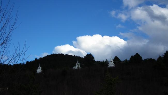 DSCF0856_resize.JPG
