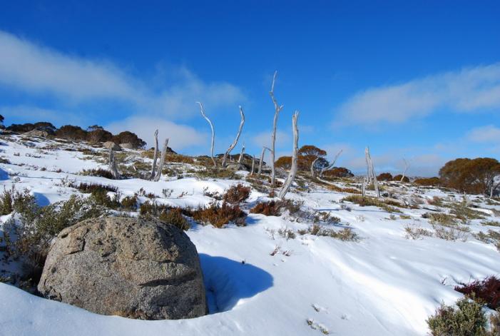 03 Smiggin Mountain.jpg