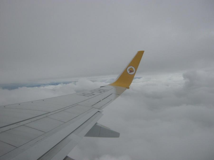 IMG_1195.JPG