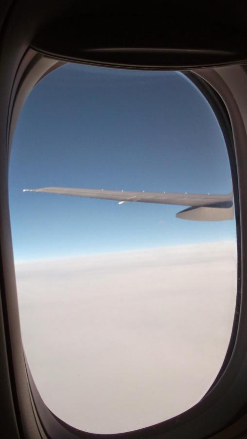 DSCF6877.JPG