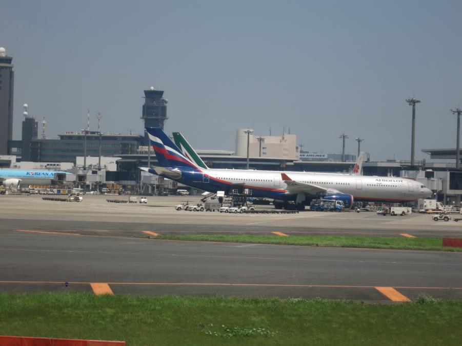 IMG_1144.JPG