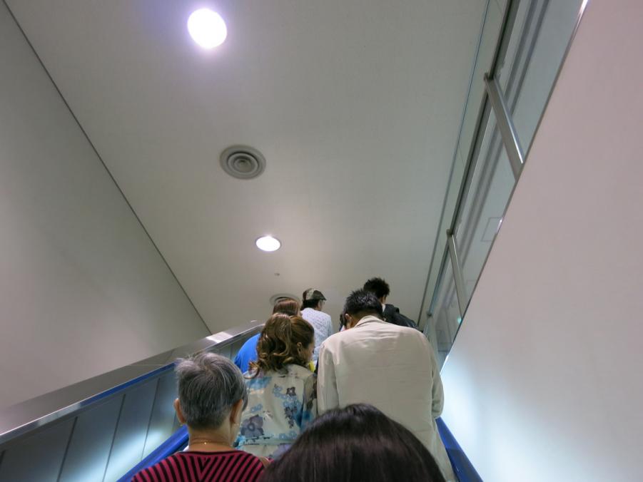 IMG_1050.JPG