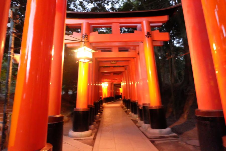 DSCF1656.JPG