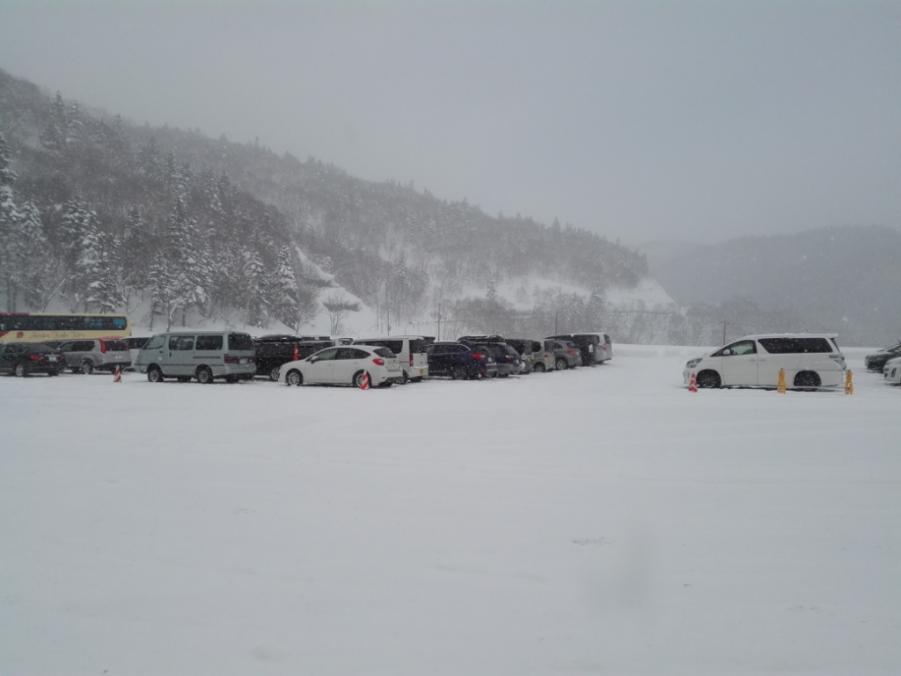 thumb_IMG_20160227_113058_1024.jpg