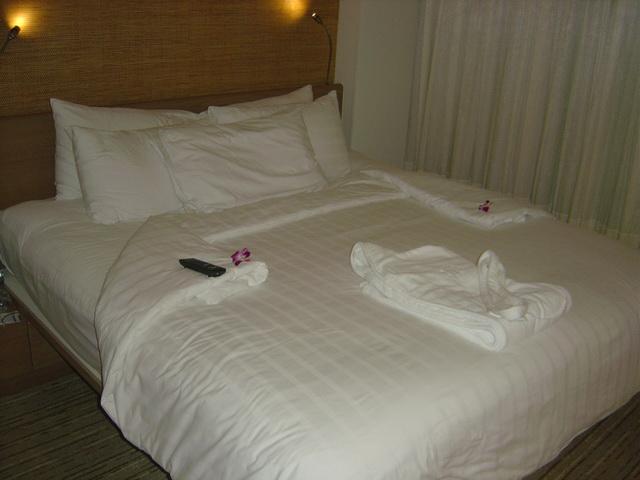 p111.jpg