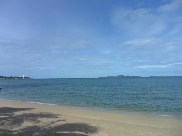 p166.jpg