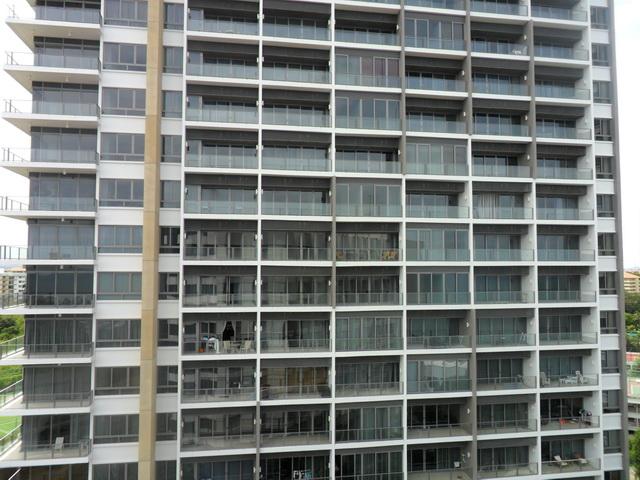 p77.jpg