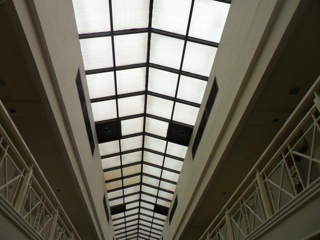p33.jpg