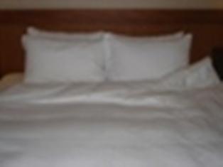 Picture SIN 016.jpg