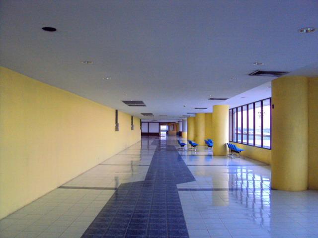 DSC00101_resize_resize.JPG