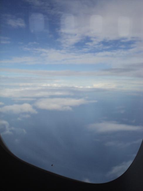 DSC06220.jpg