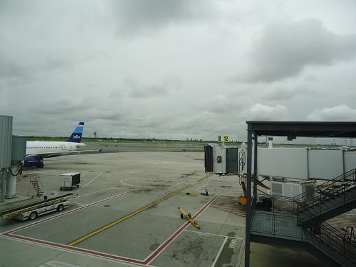 DSC01020.JPG
