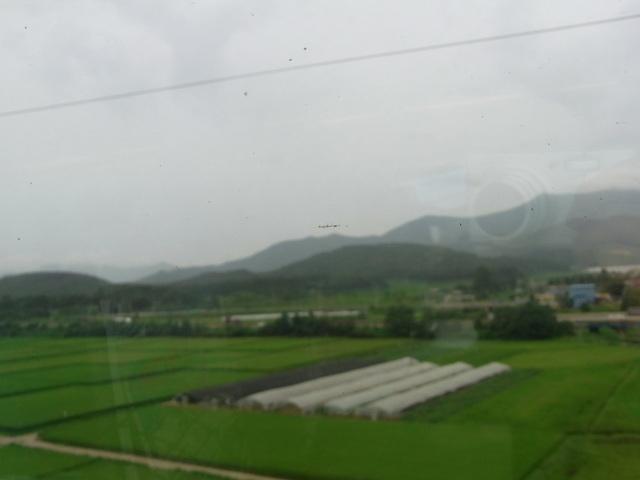 rimg0338i.jpg