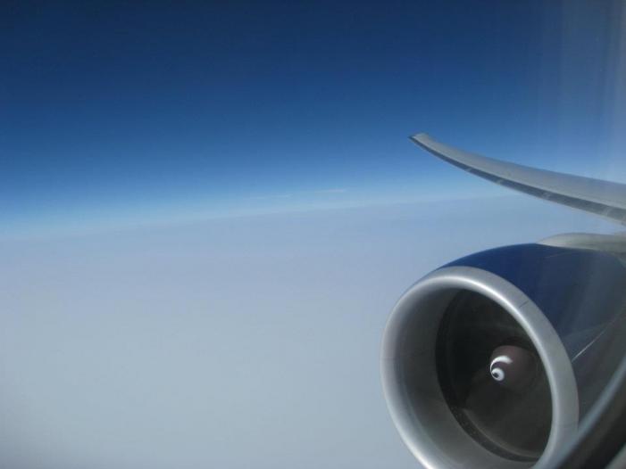 dl37.jpg