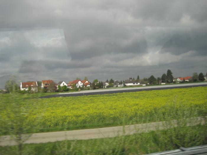 IMG_1250.JPG