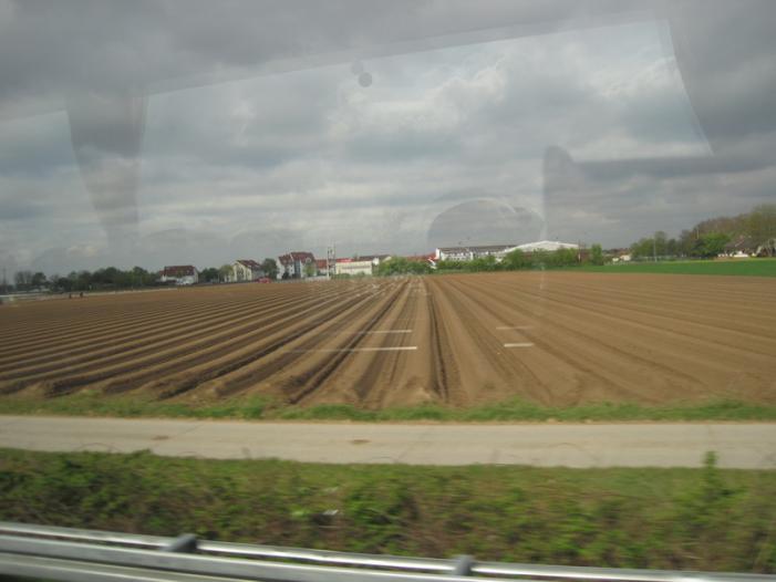 IMG_1251.JPG