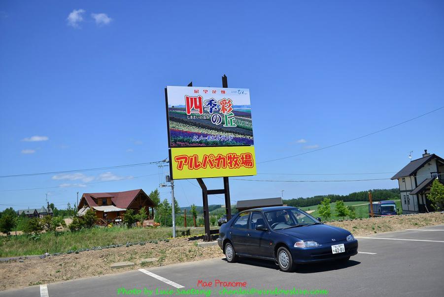 65.jpg