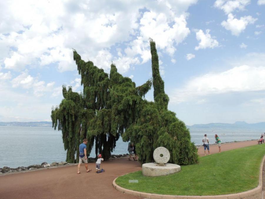 evian 063.JPG