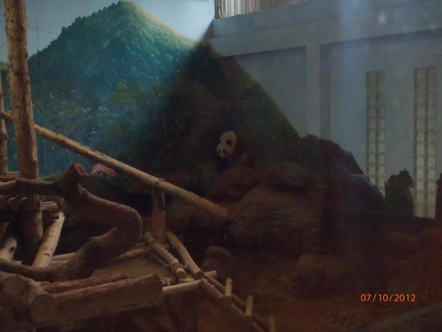 PA070060.JPG