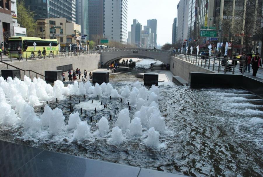 DSC_3146.jpg