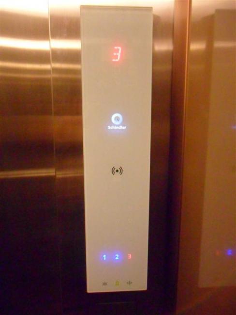 13 (Large).JPG