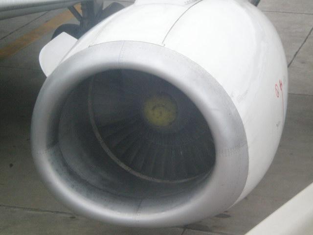 P8300052_resize.JPG