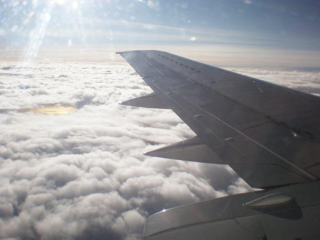 P9010090_resize.JPG