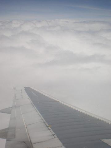P8300079_resize.JPG