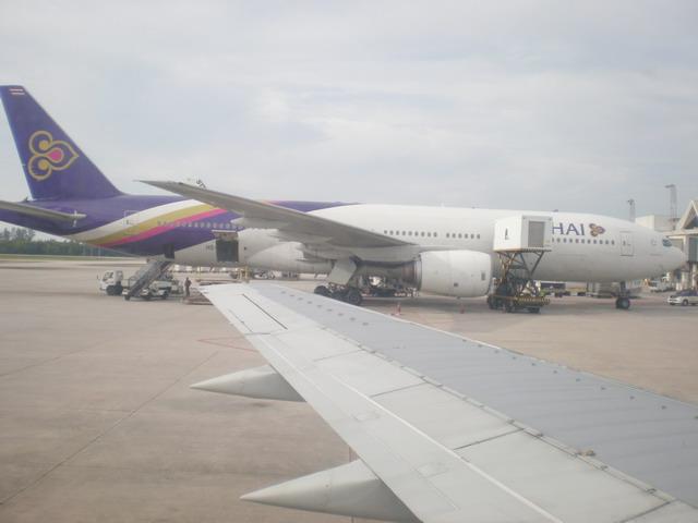 P9010047_resize.JPG