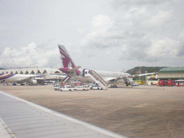 P8300120_resize.JPG