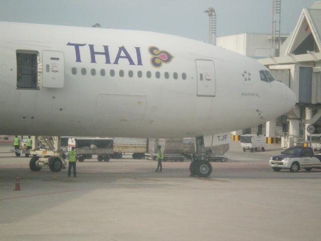 P9010051_resize.JPG