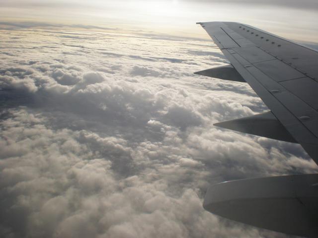 P9010098_resize.JPG