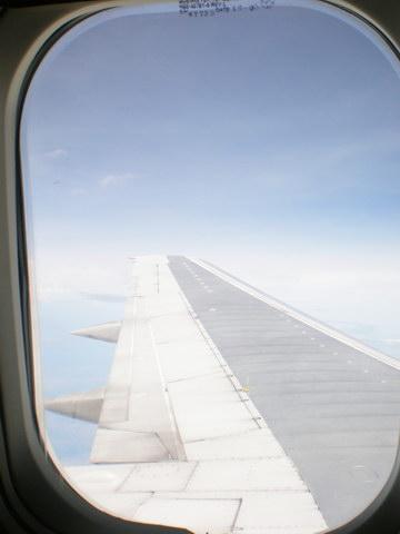 P8300083_resize.JPG