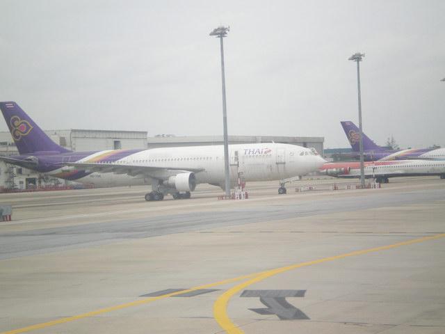 P8300064_resize.JPG