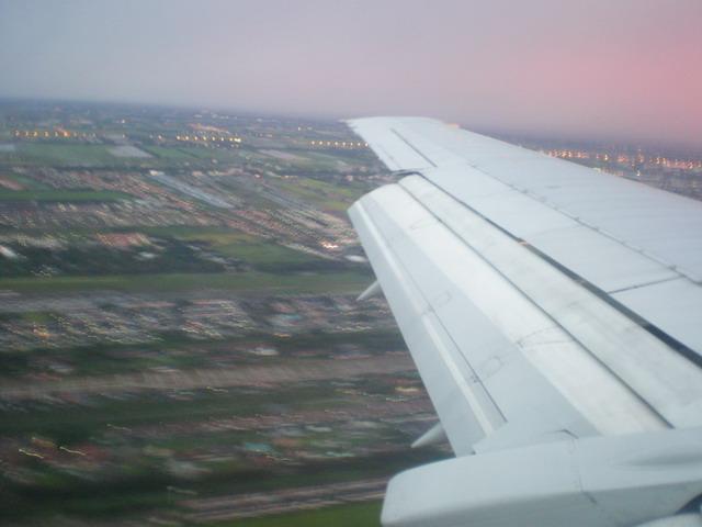 P9010129_resize.JPG