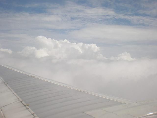 P8300070_resize.JPG