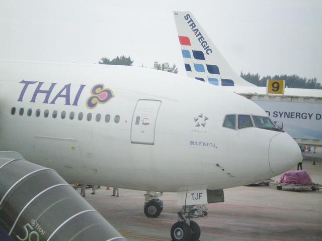 P9010042_resize.JPG