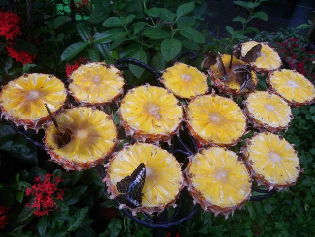 DSCN2308.jpg