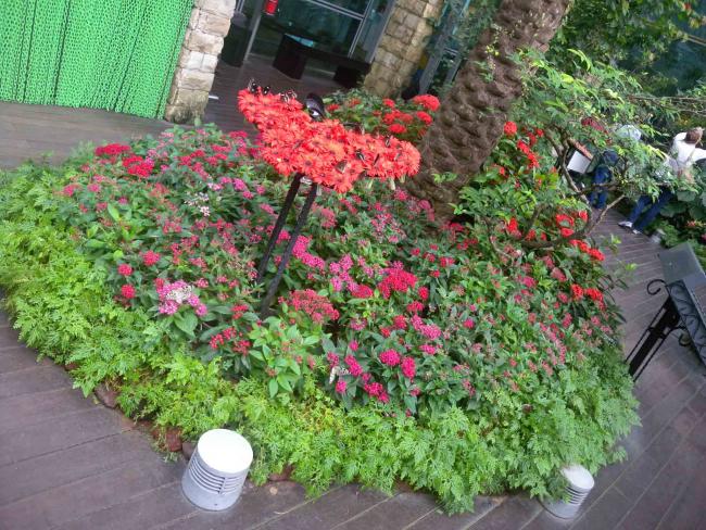 DSCN2307.jpg