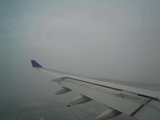 77.jpg