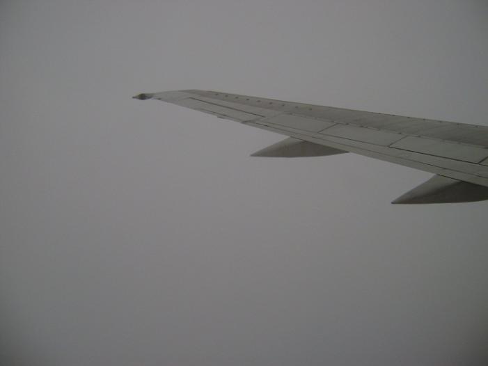 DSC03287.jpg