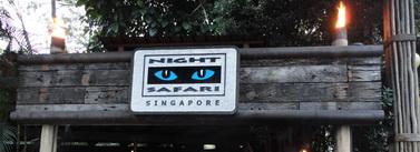 ป้าย night safa-1.jpg