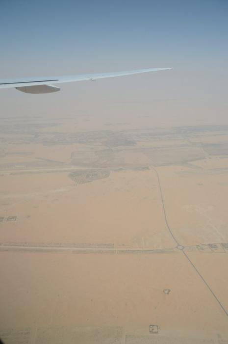 DSC_1178.jpg