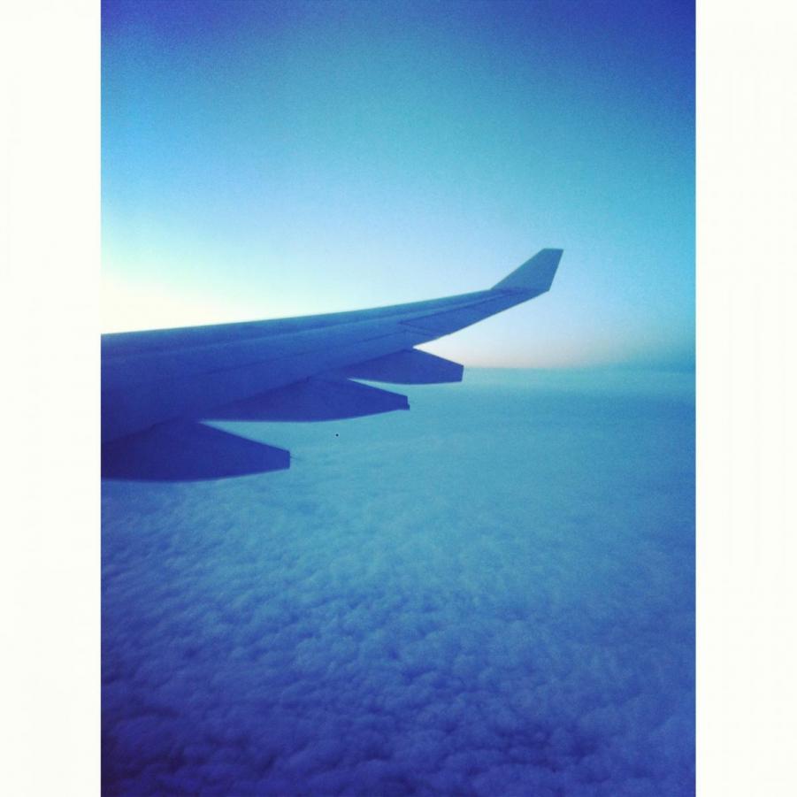 20130911_IMG_2093.JPG