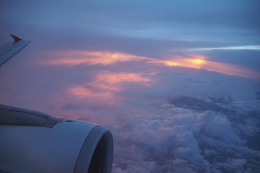P9041621.JPG