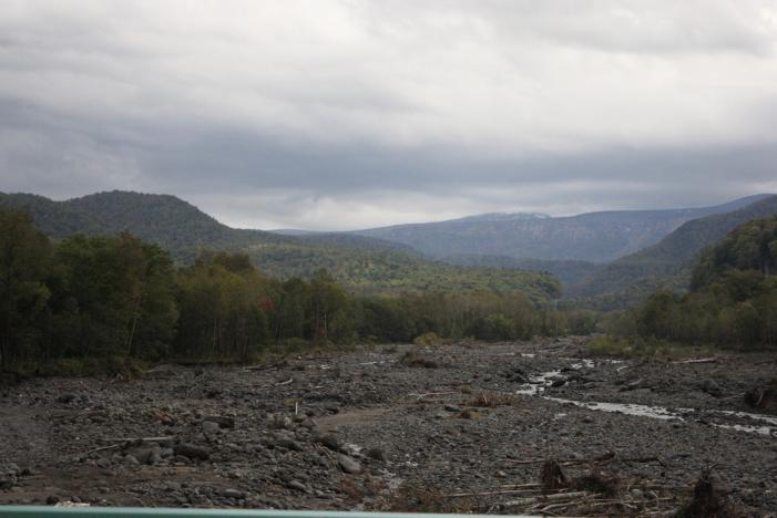 _MG_3653.JPG