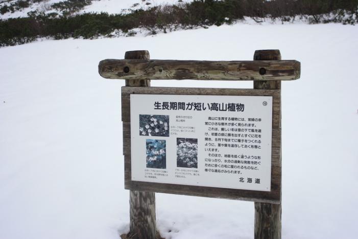 _MG_3751.JPG