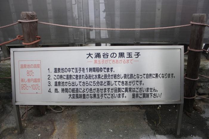 _MG_3254.JPG