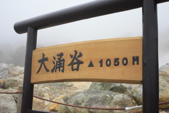 _MG_3249.JPG